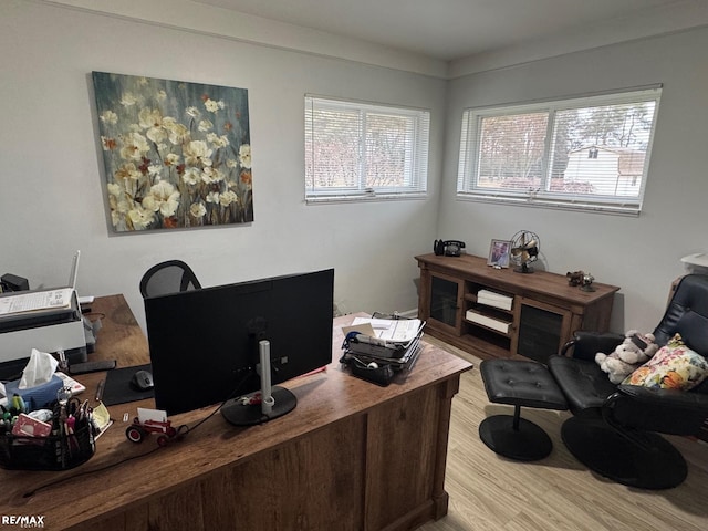 office featuring wood finished floors