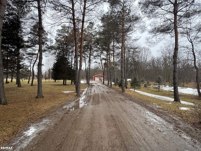 view of road featuring dirt driveway