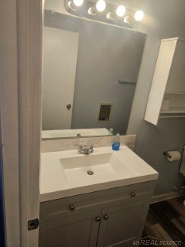 bathroom with wood finished floors and vanity