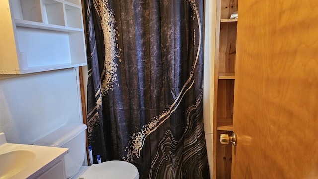 full bathroom featuring vanity, toilet, and a shower with curtain