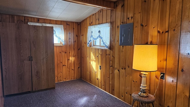 interior space with lofted ceiling, electric panel, and wooden walls