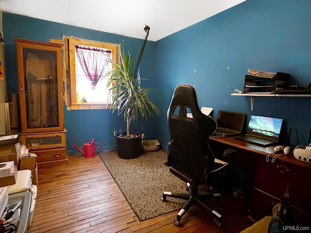 office featuring wood-type flooring