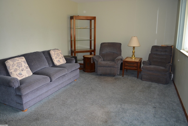 living area featuring carpet floors