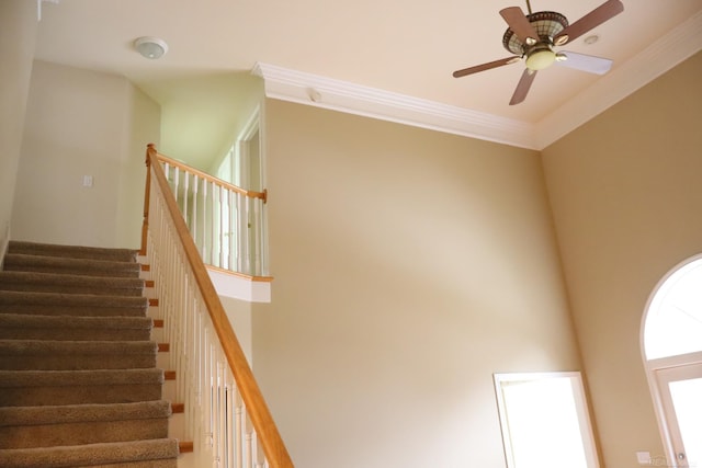 stairs with ceiling fan and crown molding