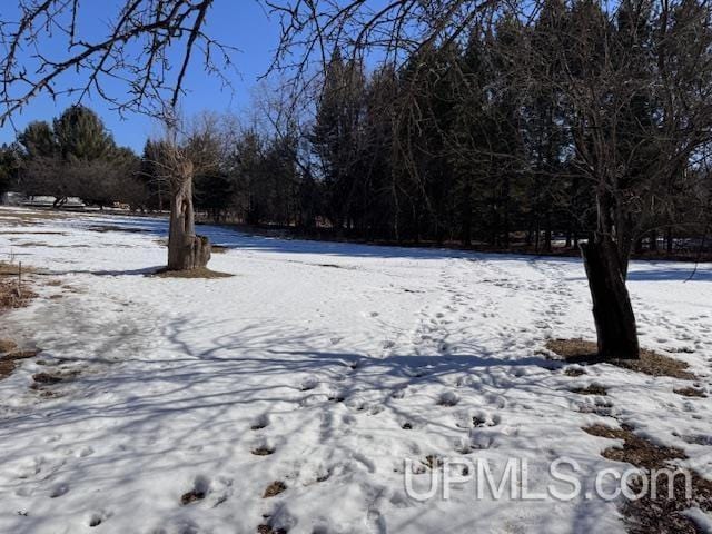 view of yard layered in snow