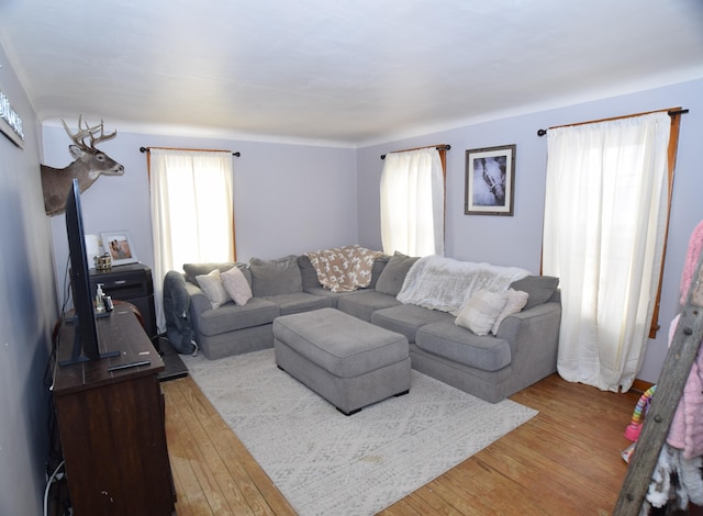 living room featuring plenty of natural light and light wood-type flooring