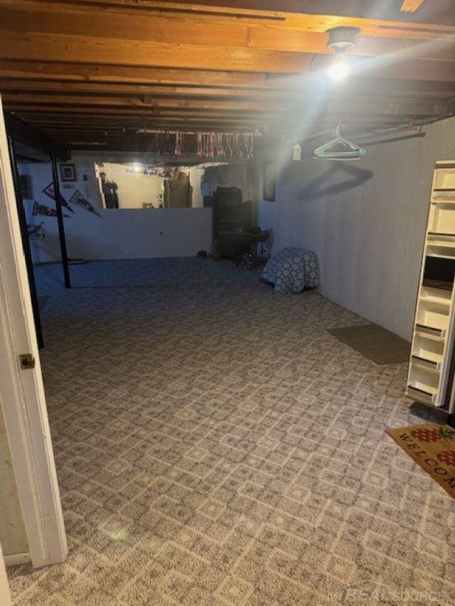 unfinished basement with carpet floors