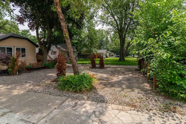 view of yard with driveway