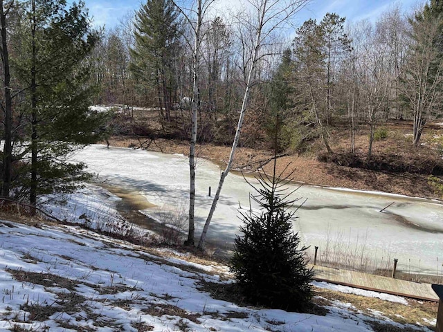 yard layered in snow featuring a wooded view