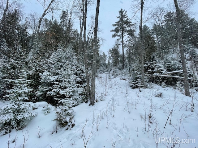 NorthhalfTBD Kunde Road, Skandia MI, 49885 land for sale