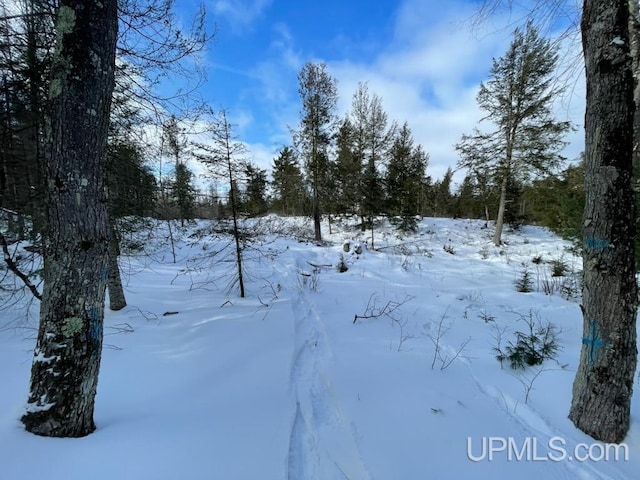 Listing photo 2 for NorthhalfTBD Kunde Road, Skandia MI 49885