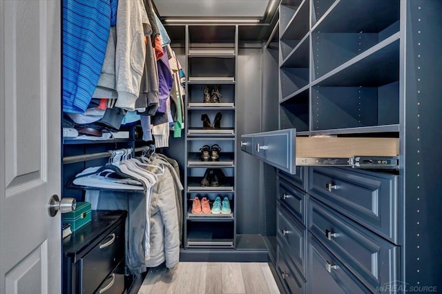 walk in closet featuring wood finished floors