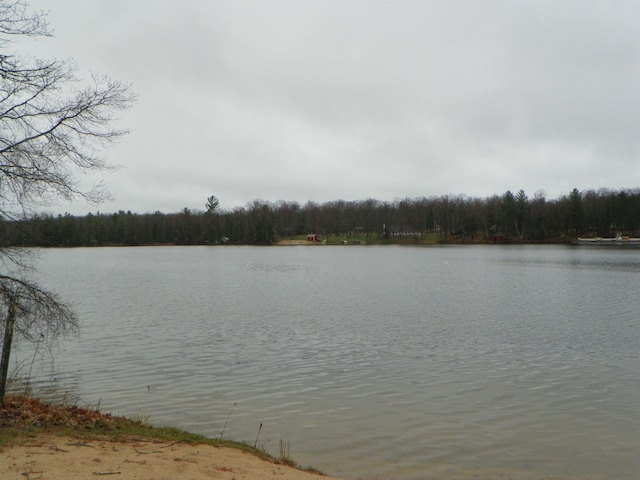 view of water feature featuring a view of trees