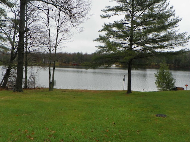 view of water feature