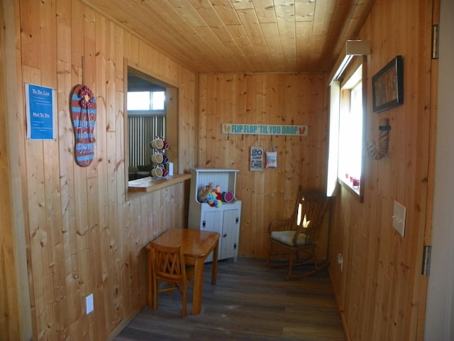 living area with wooden ceiling, wood finished floors, and wooden walls