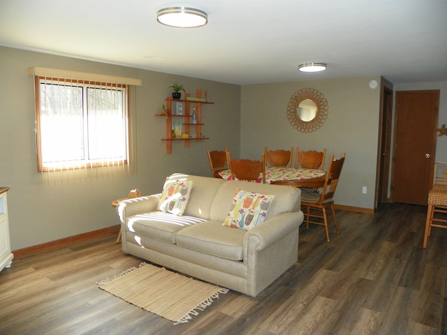 living room with baseboards and wood finished floors