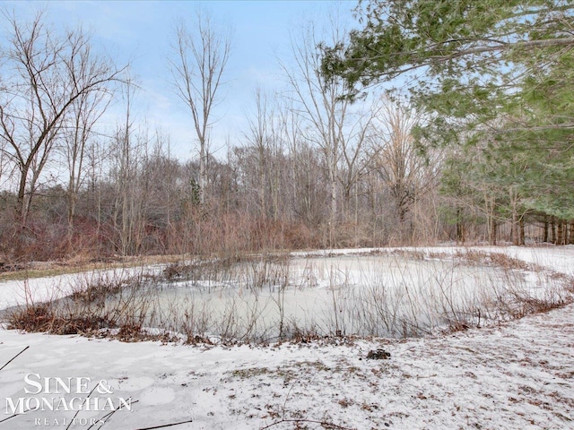 view of yard layered in snow