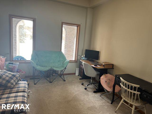 carpeted home office featuring baseboards and a wealth of natural light