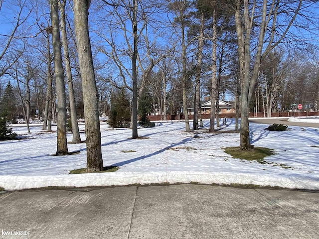 view of yard layered in snow