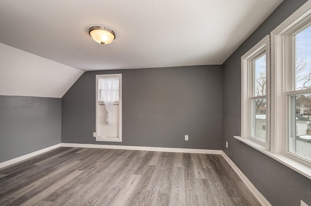 additional living space featuring a healthy amount of sunlight, baseboards, and wood finished floors