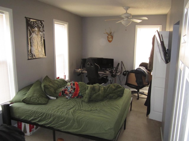 bedroom with light carpet