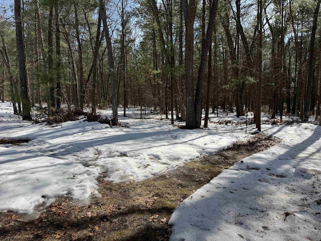 view of yard featuring a forest view