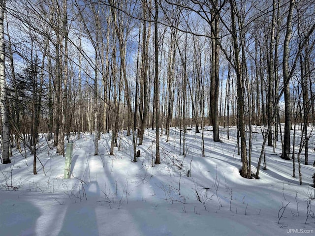 Listing photo 2 for LOT64 Little Deer Rd, Iron River MI 49935