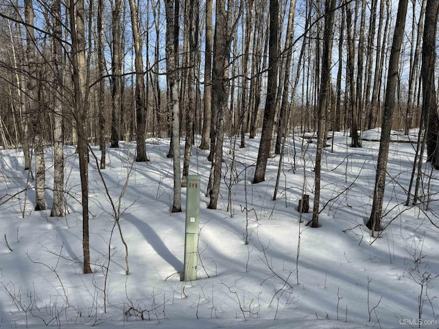 Listing photo 3 for LOT64 Little Deer Rd, Iron River MI 49935