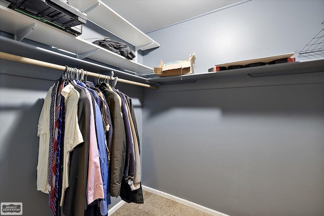 spacious closet with carpet flooring