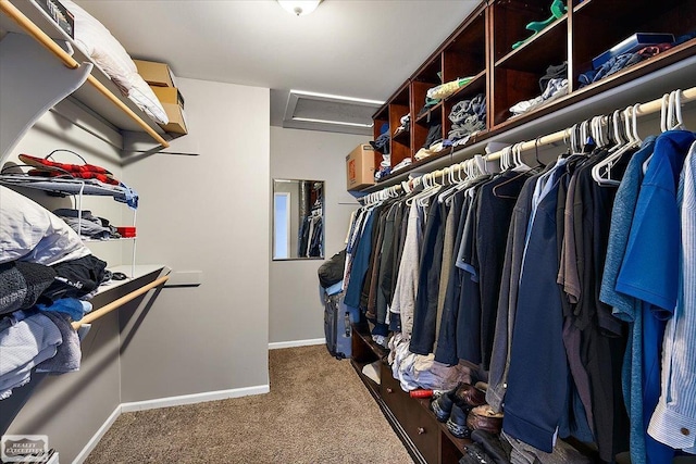 walk in closet featuring carpet and attic access