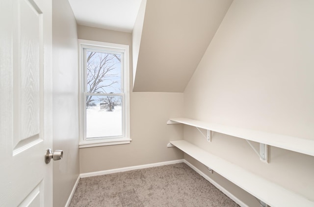 spacious closet featuring carpet floors and vaulted ceiling