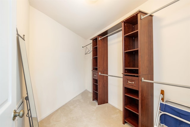 25540 Waterview Dr, Harrison Twp, MI 48045 - spacious closet with light carpet