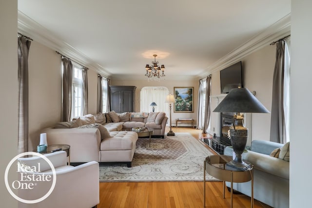 living area featuring an inviting chandelier, wood finished floors, and crown molding