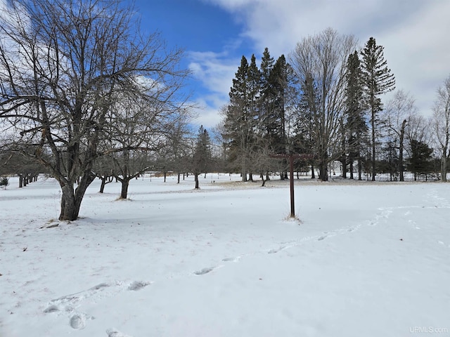 view of yard covered in snow