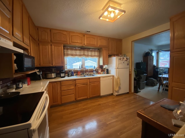 kitchen featuring light wood finished floors, a sink, a textured ceiling, white appliances, and light countertops