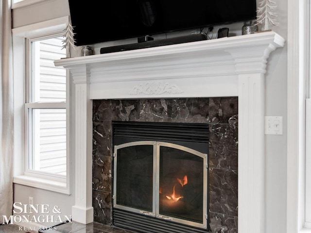 interior details featuring a glass covered fireplace