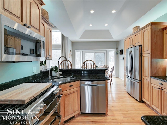 kitchen with a sink, light wood-style floors, appliances with stainless steel finishes, a peninsula, and a raised ceiling