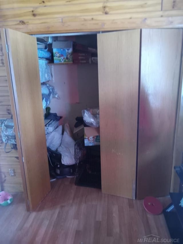 view of closet