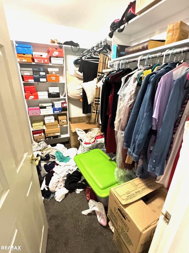 walk in closet with carpet flooring