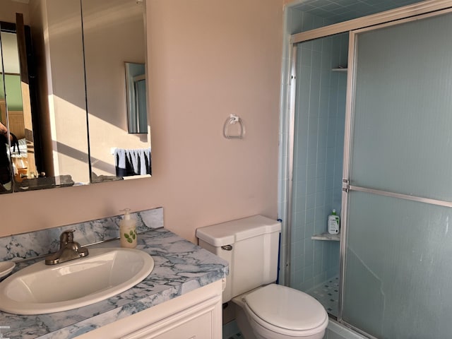 bathroom featuring vanity, toilet, and a shower stall