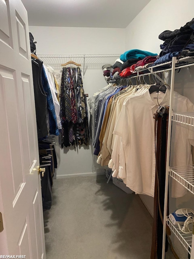 spacious closet featuring carpet