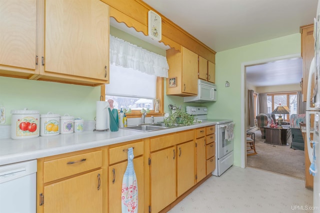 kitchen with a sink, white appliances, light floors, and light countertops