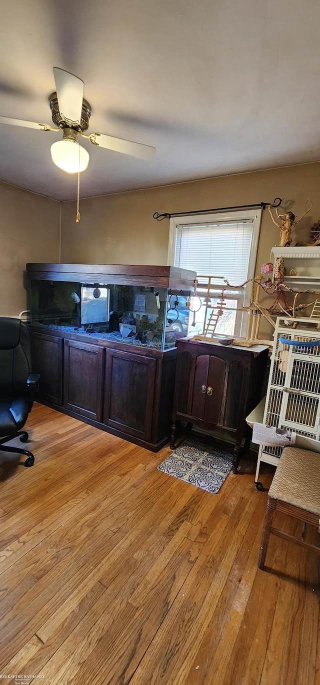 home office with ceiling fan and light wood-style floors