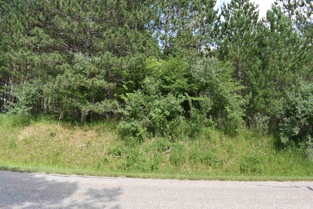 Listing photo 2 for LOT10 Knights Way, Gladwin MI 48624