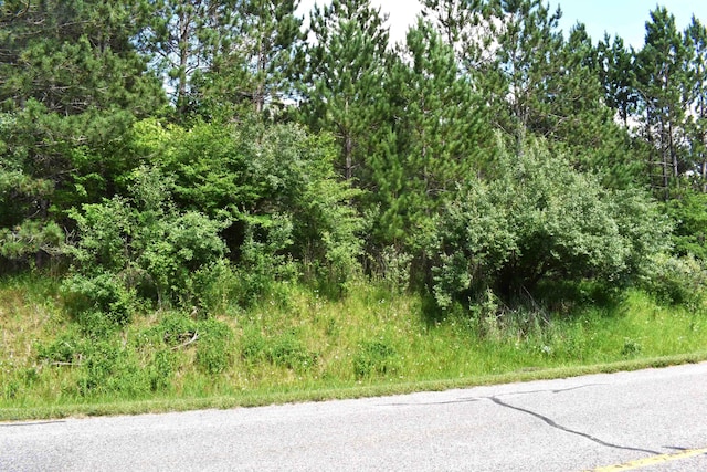 Listing photo 3 for LOT10 Knights Way, Gladwin MI 48624