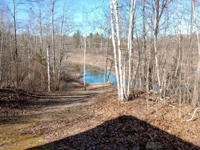 view of water feature featuring a wooded view