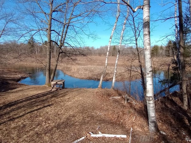 property view of water