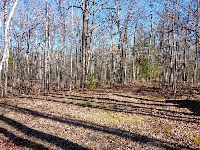 view of street featuring a wooded view