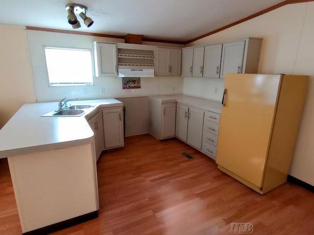 kitchen featuring light wood-type flooring, ornamental molding, a sink, freestanding refrigerator, and vaulted ceiling