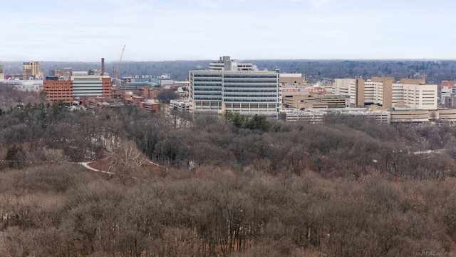 view of city